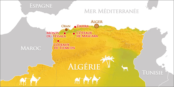 algerian vine map